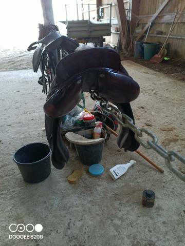 Sella da salto ostacoli CWD  17.5" - 2012