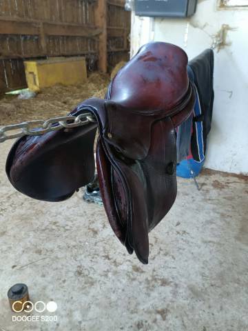 Sella da salto ostacoli CWD  17.5" - 2012