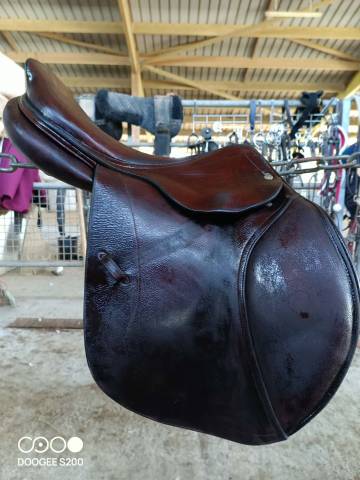 Sella da salto ostacoli CWD  17.5" - 2012