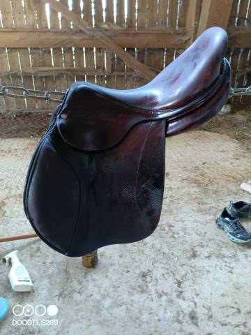 Sella da salto ostacoli CWD  17.5" - 2012