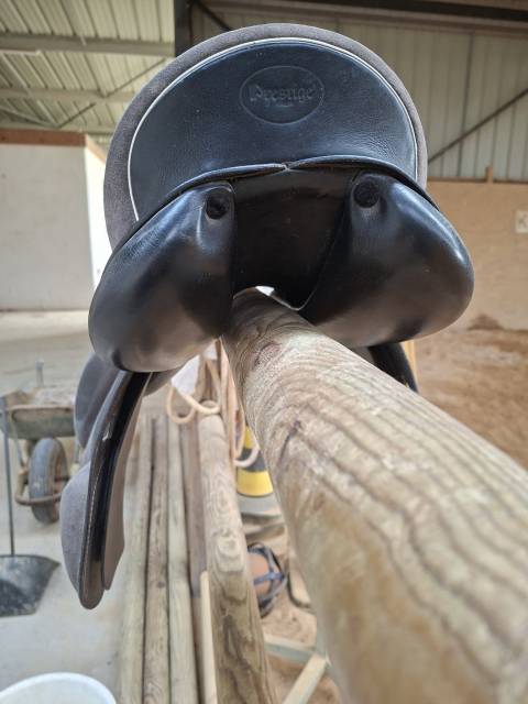 Sella Junior / Sella Pony Prestige Italia  14.5" - 2022