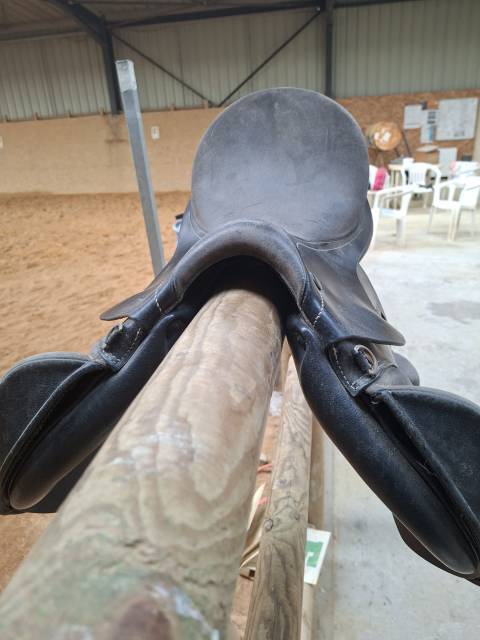 Sella Junior / Sella Pony Prestige Italia  14.5" - 2022