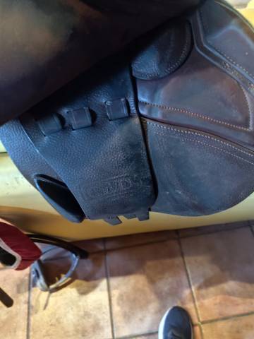 Sella da salto ostacoli CWD  17.5" - 2018