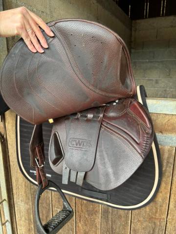 Sella da salto ostacoli CWD  17.5" - 2019