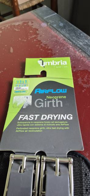 Umbria Nuovo
