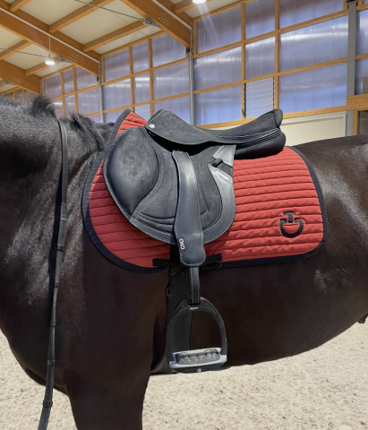 Sella da salto ostacoli CWD  17" - 2024