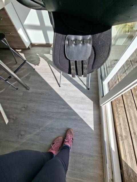 Sella da dressage Norton  16.5" - 2011