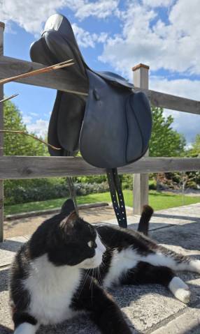 Sella da dressage Zaldi  16.5" - 2005