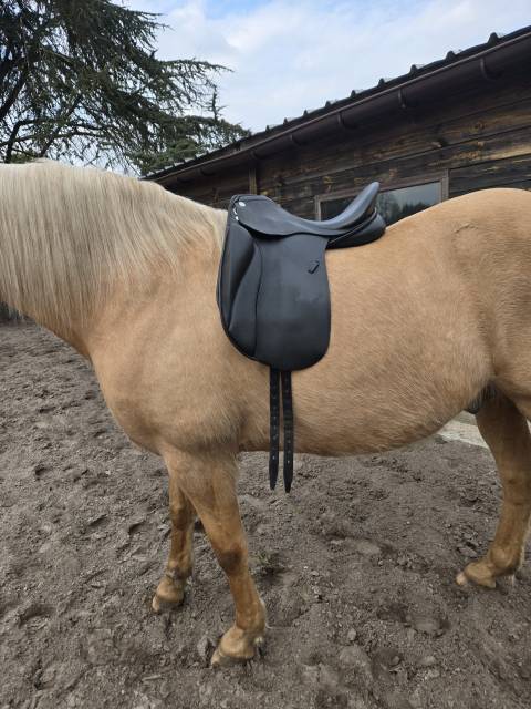 Sella da dressage Zaldi  16.5" - 2005