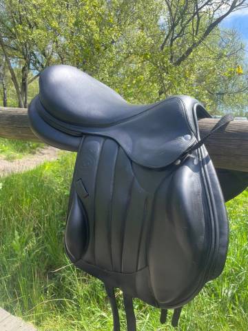 Sella mista Forestier  18" - 2023