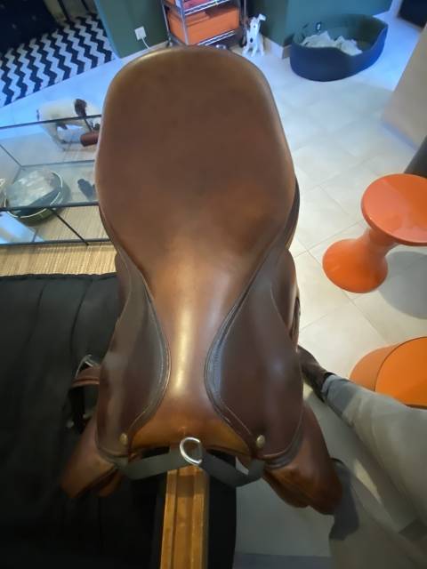 Sella da salto ostacoli Delgrange  17.5" - 2021