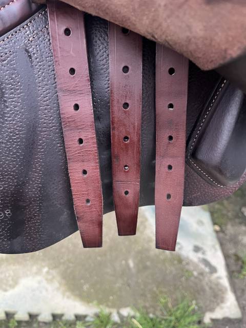 Sella da salto ostacoli CWD  17.5" - 2022
