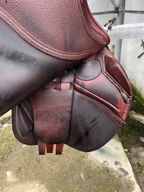 Sella da salto ostacoli CWD  17.5" - 2022