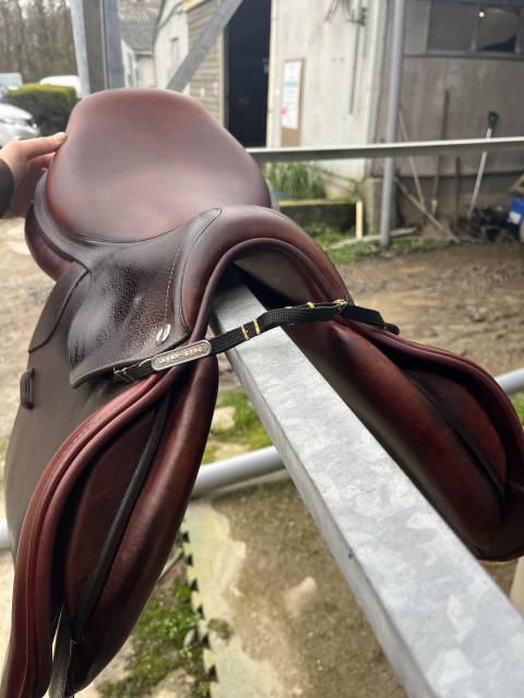 Sella da salto ostacoli CWD  17.5" - 2022