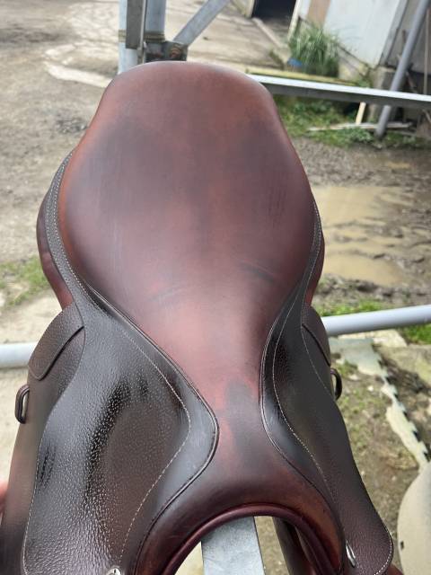 Sella da salto ostacoli CWD  17.5" - 2022