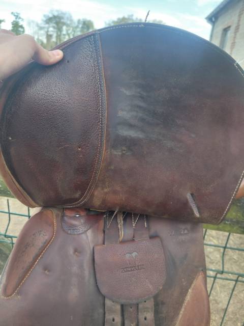 Sella da salto ostacoli Antar&egrave;s Cso 17" - 2017