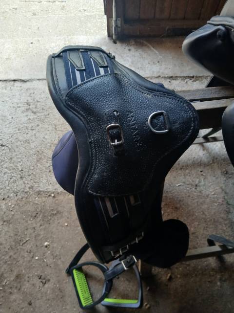 Sella da dressage Antar&egrave;s  17.5" - 2021