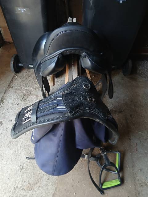 Sella da dressage Antar&egrave;s  17.5" - 2021