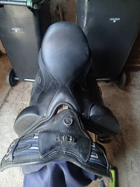 Sella da dressage Antar&egrave;s  17.5" - 2021