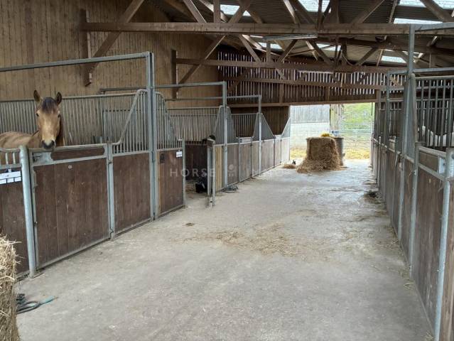 Centro ippico In vendita Morbihan