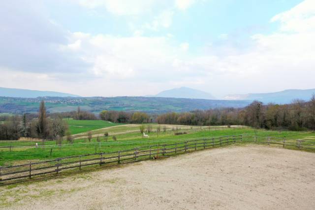 Propriet&agrave; equestre In vendita Ain