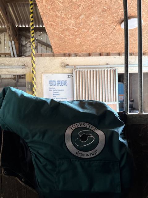 Sella mista Forestier  17.5" - 2023