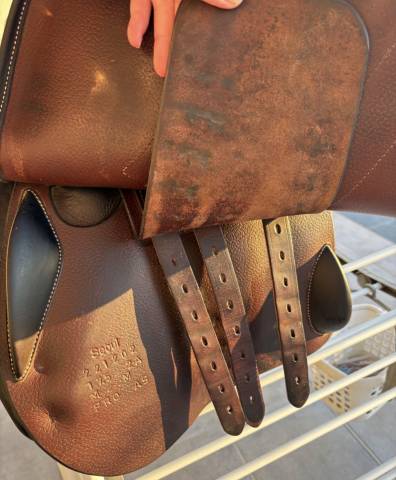 Sella da salto ostacoli Forestier  17.5" - 2022