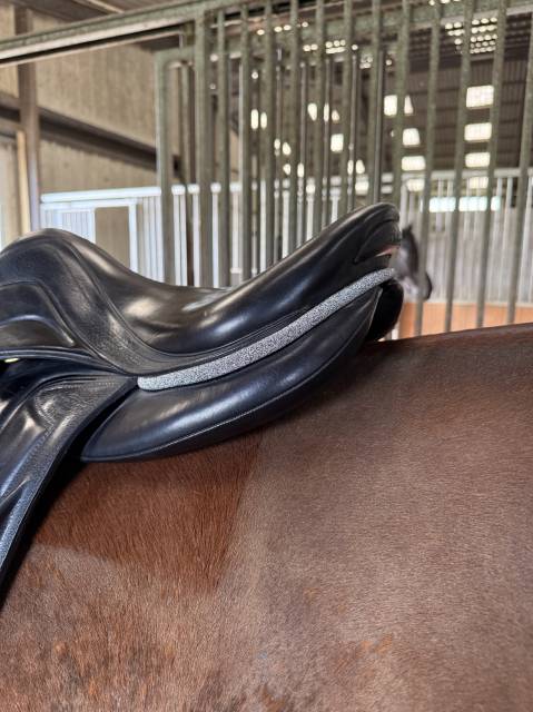 Altra sella Devoucoux  17" - 2024