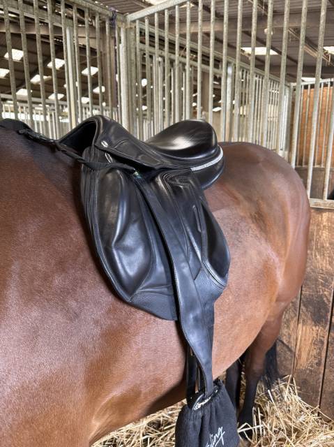 Altra sella Devoucoux  17" - 2024