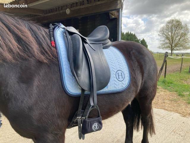 Altra sella Childeric  17.5" - 2006