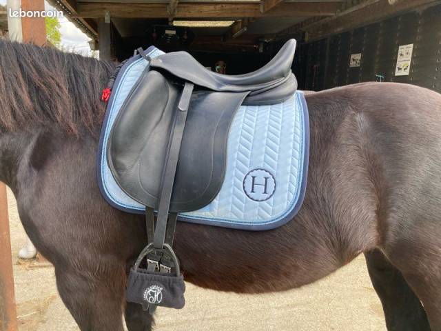 Altra sella Childeric  17.5" - 2006