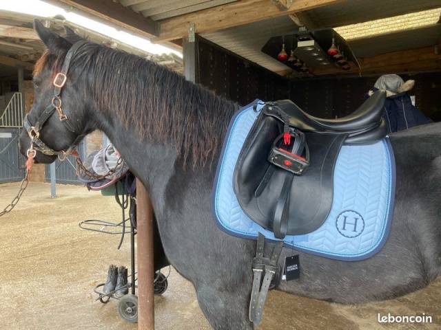 Altra sella Childeric  17.5" - 2006