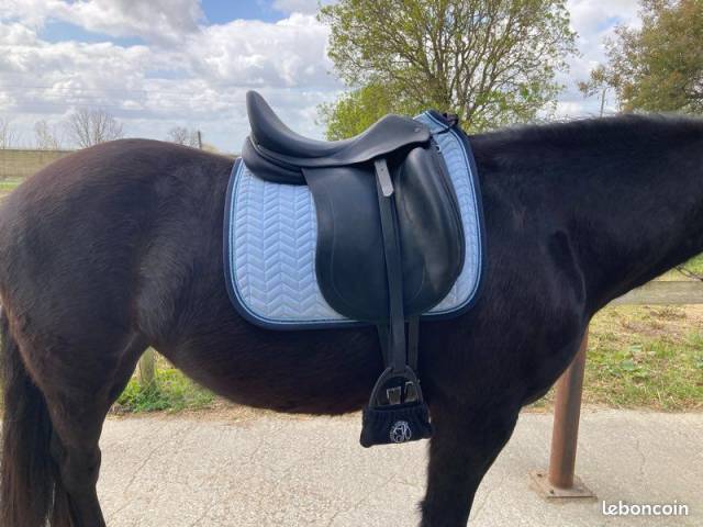 Altra sella Childeric  17.5" - 2006