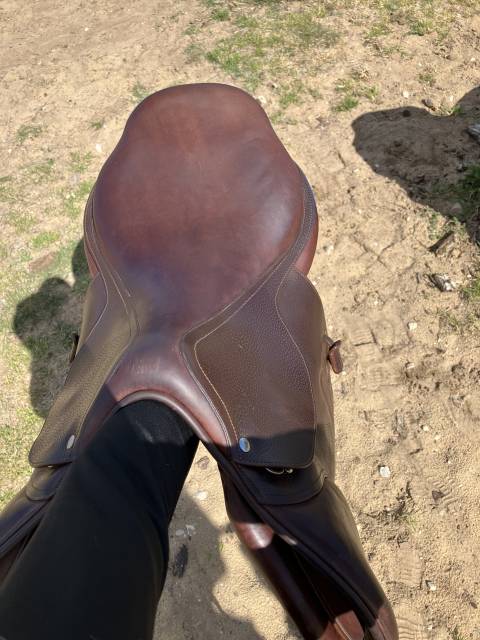 Sella mista GBS  17.5" - 2022