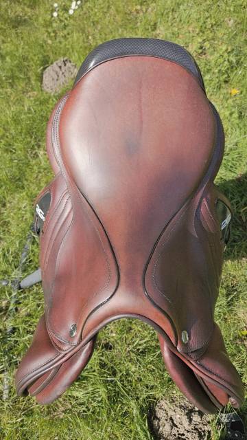 Sella da salto ostacoli CWD  17.5" - 2022