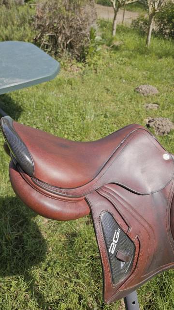 Sella da salto ostacoli CWD  17.5" - 2022