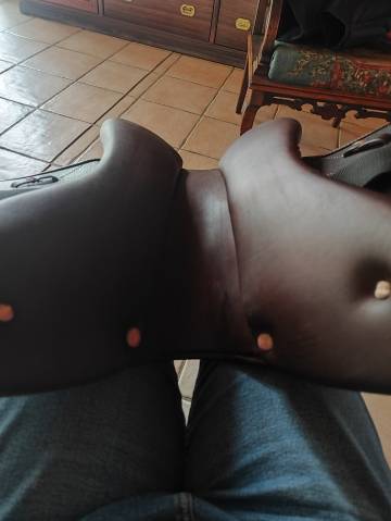 Sella da salto ostacoli Altair  17.5" - 2021