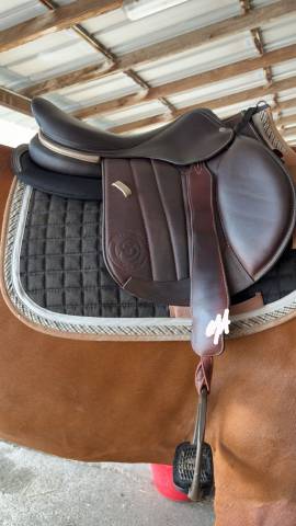 Sella da salto ostacoli Forestier  17.5" - 2025