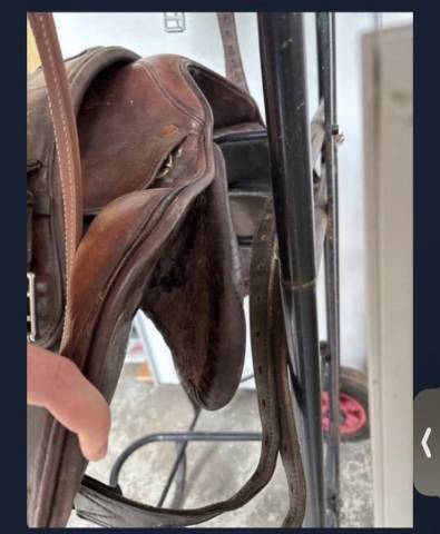 Sella da cross Eric Thomas  17" - 2015