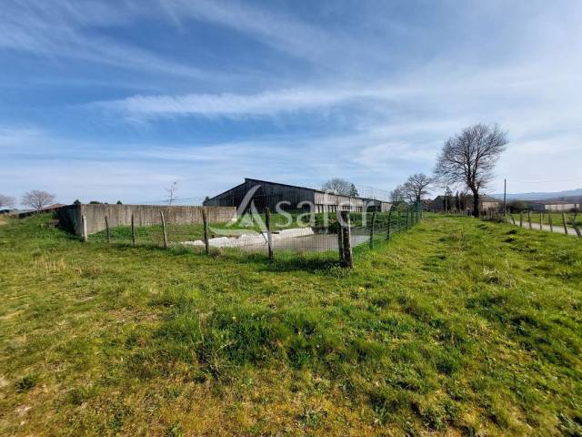 Azienda ovina In vendita Haute-Vienne