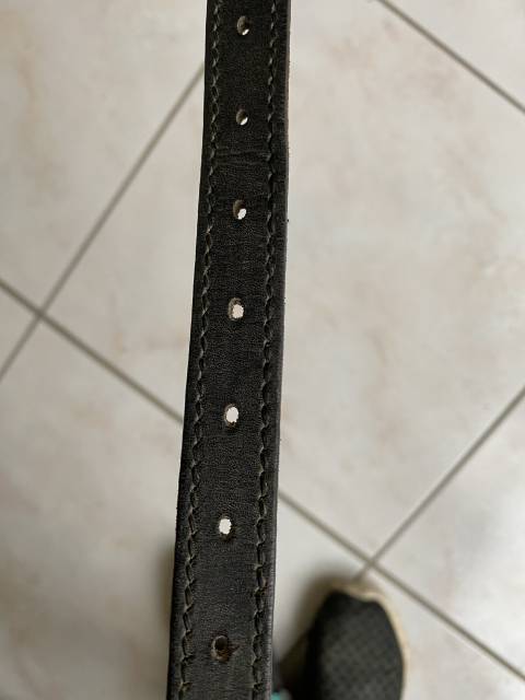 Sella da dressage Wintec  17" - 2022