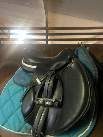 Sella da salto EQM 17,5 nera perfetta 