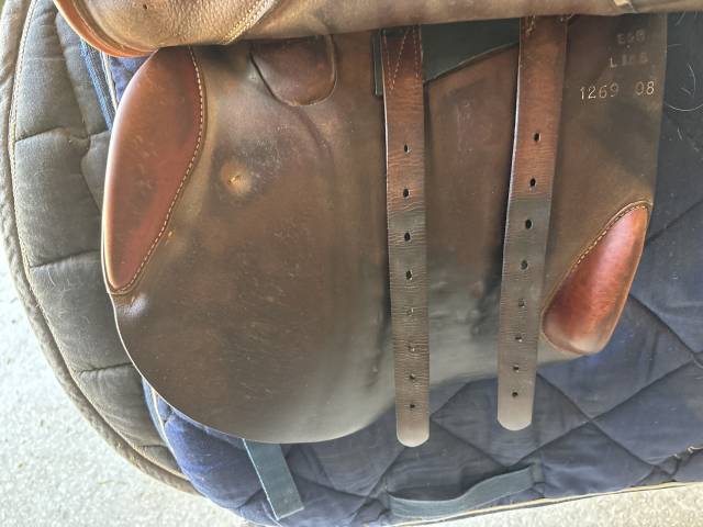 Sella da salto ostacoli Butet  18.5" - 2008