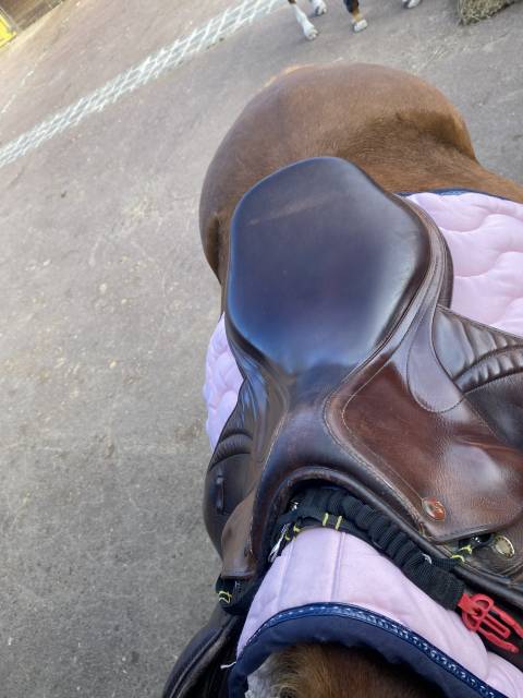 Sella mista Prestige Italia  17" - 2008