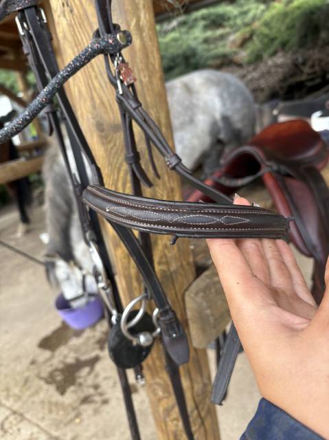 Sella da salto ostacoli CWD  17.5" - 2020