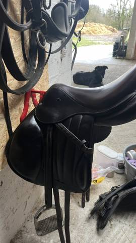 Sella da salto ostacoli Forestier  17.5" - 2021