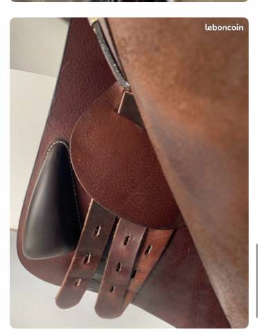 Sella da salto ostacoli Equipe  18" - 2022