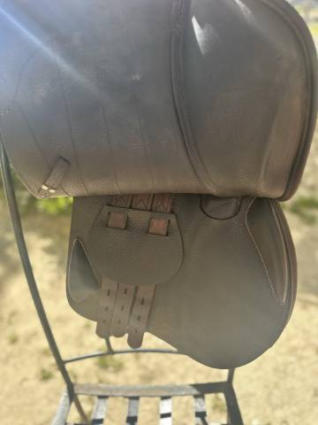 Sella da salto ostacoli Equipe  17.5" - 2022