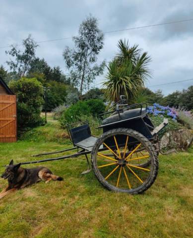 Attacchi - Dog-cart - Altra marca - Type dog-cart 