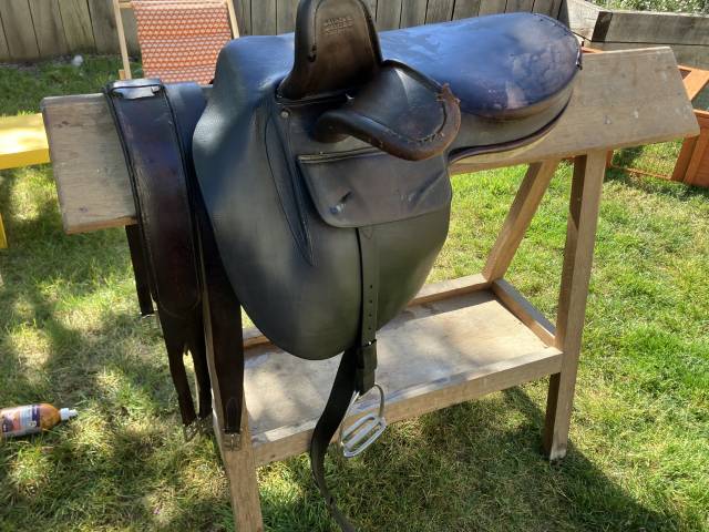 Sella amazzone  BP Swain - Side Saddle  17.5" - 1996